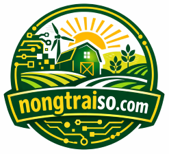 nongtraiso.com